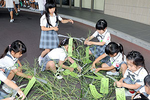 短冊に願いを込めて　年長組