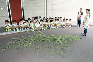 短冊に願いを込めて　年長組