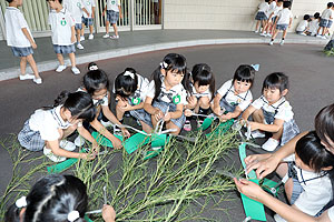 短冊に願いを込めて　年長組