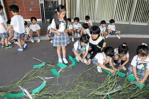 短冊に願いを込めて　年長組