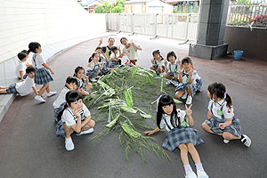 短冊に願いを込めて　年長組