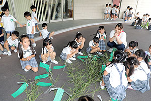 短冊に願いを込めて　年長組