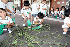 短冊に願いを込めて　年長組