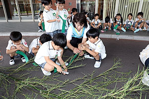 短冊に願いを込めて　年長組