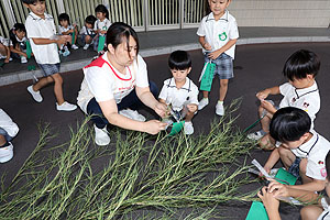 短冊に願いを込めて　年長組