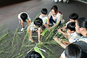 短冊に願いを込めて　年長組