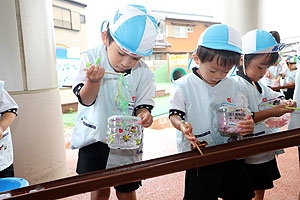 カラフル流しそうめん　楽しかったね！　年少組　NO.2