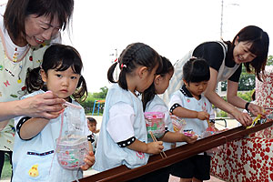 カラフル流しそうめん　楽しかったね！　年少組　NO.1