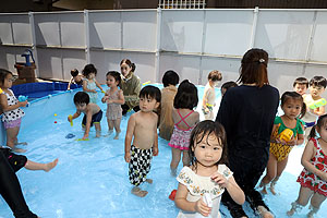 プール活動の様子　　ひよこ・あひる