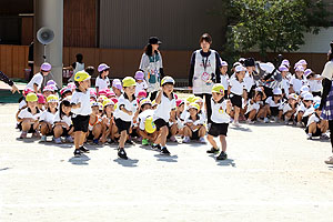 運動会予行が行われました　かけっこ　年中組