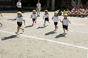 運動会予行が行われました　かけっこ　年中組