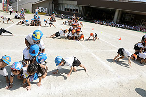 運動会の組体操活動　年長組