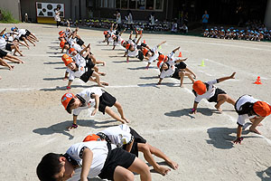 運動会の組体操活動　年長組