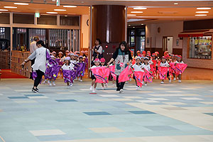 運動会のリズム活動　年中組