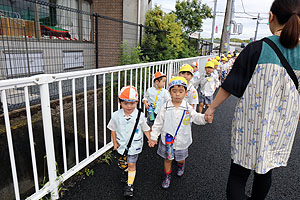 お散歩へでかけました　ひまわり・きりん