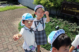 電車を見にお散歩へでかけました　ぱんだ・こあら