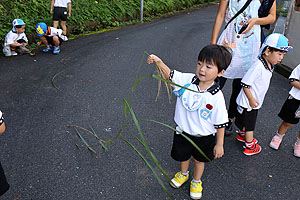 お散歩に出かけました　D・こあら