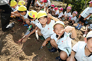 エンゼル自然体験農園でおいもほり　　年中　NO.2