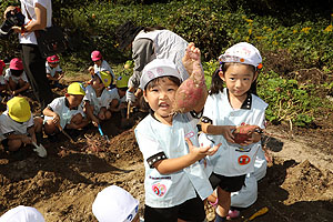 エンゼル自然体験農園でおいもほり　　年中　NO.2