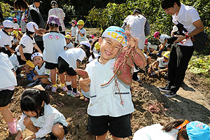 エンゼル自然体験農園でおいもほり　　年中　NO.2