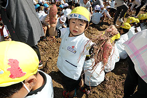 エンゼル自然体験農園でおいもほり　　年中　NO.2