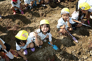 エンゼル自然体験農園でおいもほり　　年中　NO.2