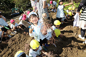 エンゼル自然体験農園でおいもほり　　年中　NO.2