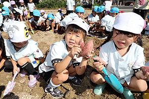 エンゼル自然体験農園でおいもほり　　年中　NO.2