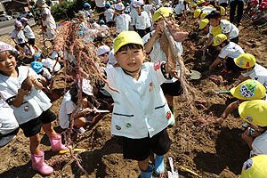 エンゼル自然体験農園でおいもほり　　年中　NO.2