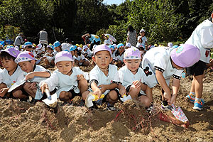 エンゼル自然体験農園でおいもほり　　年中　NO.2