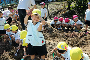 エンゼル自然体験農園でおいもほり　　年中　NO.2