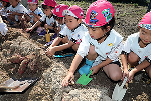 エンゼル自然体験農園でおいもほり　　年中　NO.2