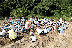 エンゼル自然体験農園でおいもほり　　年中　NO.2