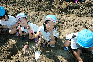 エンゼル自然体験農園でおいもほり　　年中　NO.1