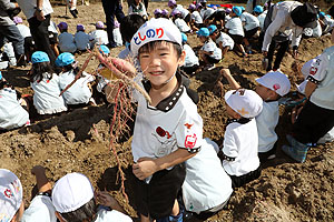 エンゼル自然体験農園でおいもほり　　年中　NO.1