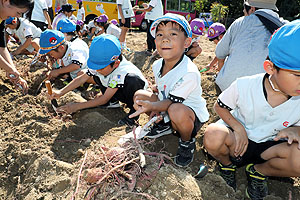 エンゼル自然体験農園でおいもほり　　年長　NO.2