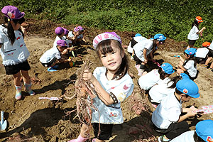 エンゼル自然体験農園でおいもほり　　年長　NO.2