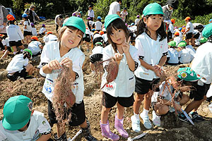 エンゼル自然体験農園でおいもほり　　年長　NO.2