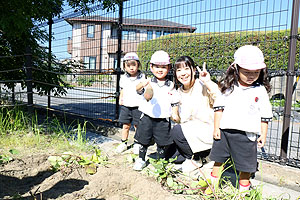 エンゼル畑でおいもほり　年少