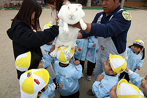 ふれあい動物園　たのしかったね　年少組