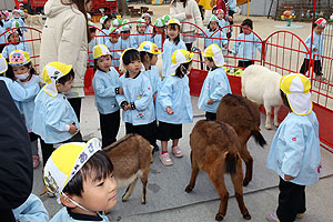 ふれあい動物園　たのしかったね　年少組