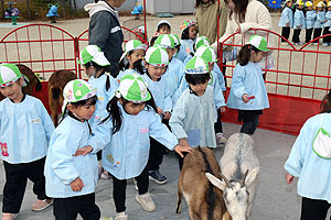 ふれあい動物園　たのしかったね　年少組