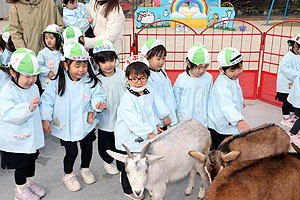 ふれあい動物園　たのしかったね　年少組