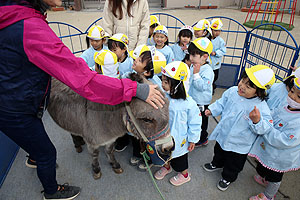 ふれあい動物園　たのしかったね　年少組