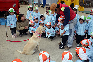 ふれあい動物園　たのしかったね　年少組