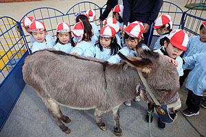 ふれあい動物園　たのしかったね　年少組