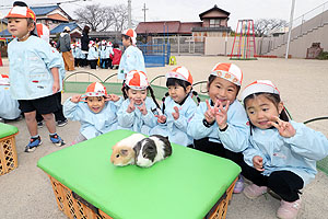 ふれあい動物園　たのしかったね　年少組