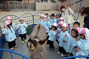 ふれあい動物園　たのしかったね　年少組