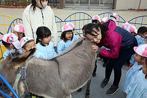 ふれあい動物園　たのしかったね　年少組