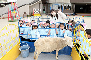 ふれあい動物園　たのしかったね　年少組